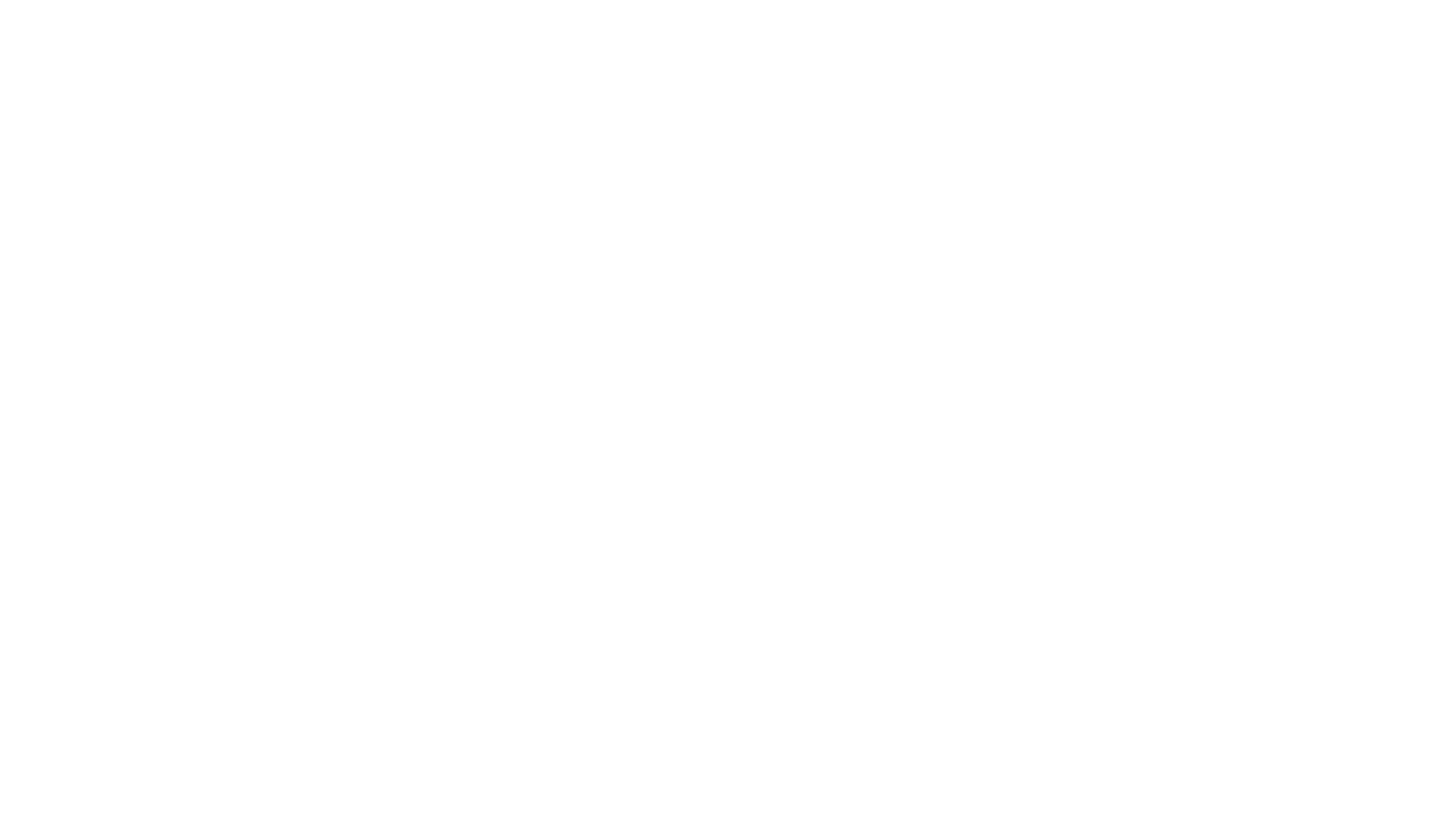 fs2-logo-1